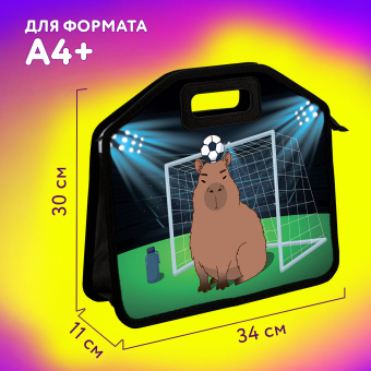 Папка-сумка ЮНЛАНДИЯ, 1 отделение, фетровые ручки, 34х30х11 см, Capyball, 272207 за 462 ₽. Папки-сумки с ручками. Доставка по России. Без переплат!