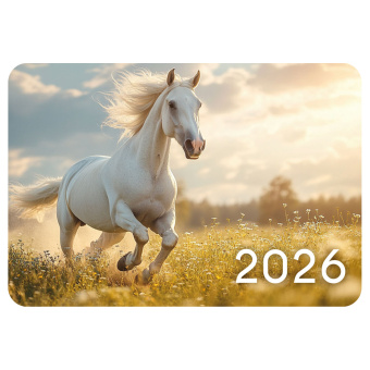 Календарь карманный на 2026 г, BRAUBERG, 64х93 мм, АССОРТИ №2, 20 видов, 117304 за 5 ₽. Календари карманные. Доставка по России. Без переплат!
