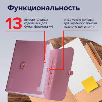 Папка-портфель пластиковая BRAUBERG А4 (327х254х30 мм), 13 отделений, розовая, 221441 за 709 ₽. Портфели пластиковые. Доставка по России. Без переплат!