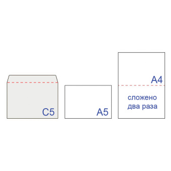 Конверты С5 (162х229 мм), отрывная лента, 80 г/м2, КОМПЛЕКТ 1000 шт. за 2 845 ₽. Конверты почтовые. Доставка по России. Без переплат!