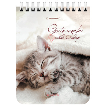 Блокнот МАЛЫЙ ФОРМАТ А6 108х145 мм, 40 л., гребень, картон, клетка, BRAUBERG, "Милые котята", 114391 за 30 ₽. Блокноты. Доставка по России. Без переплат!