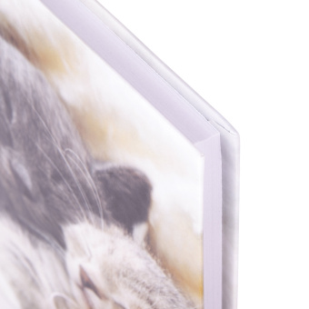 Блокнот МАЛЫЙ ФОРМАТ (110х147 мм), А6, 80 л., твёрдый, клетка, STAFF, "Котики", 114439 за 91 ₽. Блокноты в книжном переплете. Доставка по России. Без переплат!