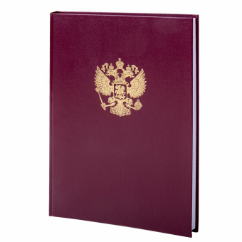 Книга учета 96 л., клетка, твердая, бумвинил, офсет, герб, А4 (200х290 мм), BRAUBERG, бордовая, 130276 за 241 ₽. Книги учета универсальные. Доставка по России. Без переплат!