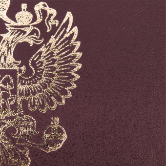 Папка адресная бумвинил с гербом России, формат А4, бордовая, индивидуальная упаковка, STAFF "Basic", 129576 за 125 ₽. Папки адресные. Доставка по России. Без переплат!