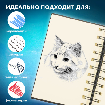 Скетчбук, слоновая кость 140 г/м2 90х140 мм, 80 л., КОЖЗАМ, гребень, BRAUBERG ART CLASSIC, черный, 116474 за 205 ₽. Альбомы, скетчбуки и бумага для графики и эскизов. Доставка по России. Без переплат!
