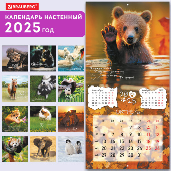 Календарь настенный перекидной на 2025 г., BRAUBERG, 12 листов, 29х29 см, "Детёныши", 116171 за 36 ₽. Календари настенные. Доставка по России. Без переплат!