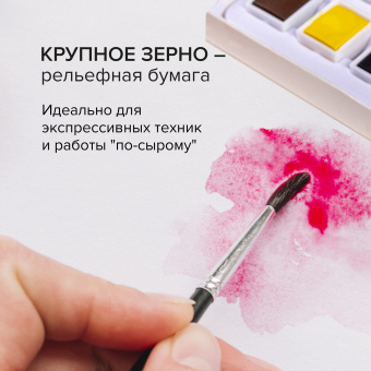 Бумага для акварели 300 г/м2 460x660 мм крупное зерно, 10 листов, BRAUBERG ART PREMIERE, 113234 за 826 ₽. Альбомы и бумага для акварели и масла. Доставка по России. Без переплат!