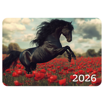 Календарь карманный на 2026 г, BRAUBERG, 64х93 мм, АССОРТИ №1, 20 видов, 117303 за 5 ₽. Календари карманные. Доставка по России. Без переплат!