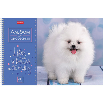 Альбом для рисования А4 40 л., спираль, обложка картон, HATBER, 205х290 мм, "Doggie-Щенки" (4 вида), 067478, 40А4Всп за 110 ₽. Альбомы и папки для рисования. Доставка по России. Без переплат!