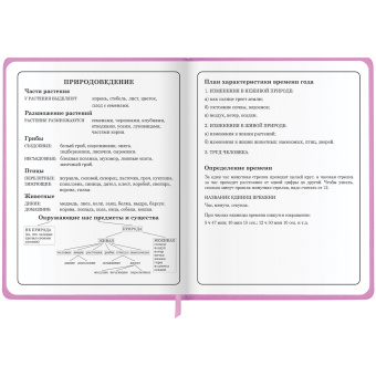 Дневник 1-4 класс 48 л., кожзам (твердая с поролоном), печать, аппликация, ЮНЛАНДИЯ, "ОЛЕНЕНОК", 105937 за 219 ₽. Дневники для младших классов. Доставка по России. Без переплат!