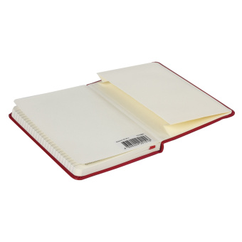 Блокнот МАЛЫЙ (100x150 мм) А6, BRAUBERG "Metropolis Special", под кожу, 80 л., клетка, красный, 111581 за 258 ₽. Бизнес-блокноты и бизнес-тетради. Доставка по России. Без переплат!