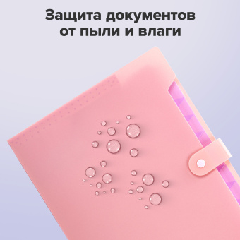 Папка-органайзер на кнопке 12 отделений, BRAUBERG "Extra", А4, персиковая с лавандовым, 271931 за 236 ₽. Папки пластиковые с отделениями. Доставка по России. Без переплат!