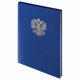 Книга учета 96 л., клетка, твердая, бумвинил, офсет, герб, А4 (200х290 мм), BRAUBERG, синяя, 130141 за 225 ₽. Книги учета универсальные. Доставка по России. Без переплат!