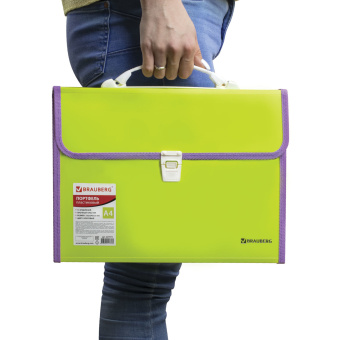 Папка-портфель пластиковая BRAUBERG "JOY", А4 (330х245х35 мм), 13 отделений, с окантовкой, салатовая, 227974 за 640 ₽. Портфели пластиковые. Доставка по России. Без переплат!
