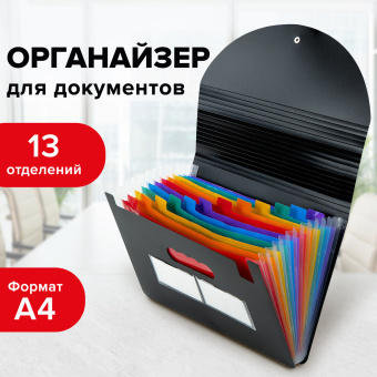 Папка-органайзер для бумаг и документов на резинке, 13 отделений, BRAUBERG DOCS, А4, черная, 271152 за 586 ₽. Папки пластиковые с отделениями. Доставка по России. Без переплат!