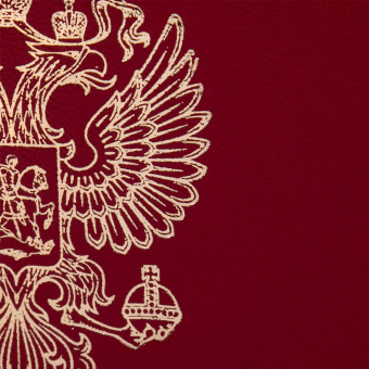 Папка адресная бумвинил бордовый, "Герб России", формат А4, STAFF, 122741 за 137 ₽. Папки адресные. Доставка по России. Без переплат!