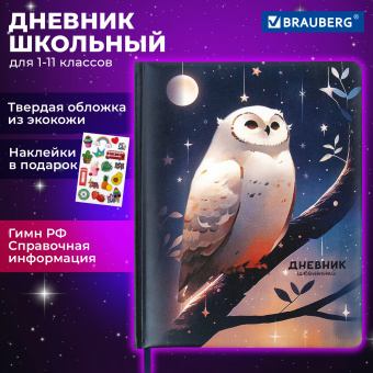 Дневник 1-11 класс 48 л., кожзам (твердая с поролоном), печать, наклейки, BRAUBERG, "Сова", 106947 за 207 ₽. Дневники универсальные. Доставка по России. Без переплат!