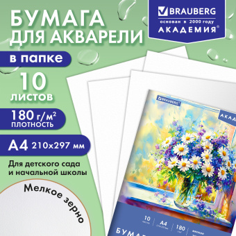 Папка для акварели А4, 210х297 мм, 10 листов, 180 г/м2, BRAUBERG АКАДЕМИЯ (ДЭК), "Букет ромашек", 117742 за 73 ₽. Альбомы и бумага для акварели и масла. Доставка по России. Без переплат!