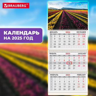 Календарь квартальный на 2025 г., 3 блока, 3 гребня, с бегунком, офсет, BRAUBERG, "Долина цветов", 116098 за 59 ₽. Календари настенные. Доставка по России. Без переплат!