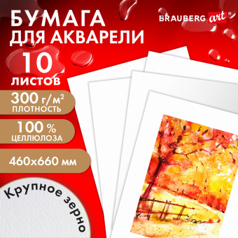 Бумага для акварели 300 г/м2 460x660 мм крупное зерно, 10 листов, BRAUBERG ART PREMIERE, 113234 за 826 ₽. Альбомы и бумага для акварели и масла. Доставка по России. Без переплат!