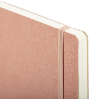 Блокнот А5 (130х210 мм), BRAUBERG ULTRA, под кожу, 80 г/м2, 96 л., в точку, светло-розовый, 113015 за 524 ₽. Бизнес-блокноты и бизнес-тетради. Доставка по России. Без переплат!