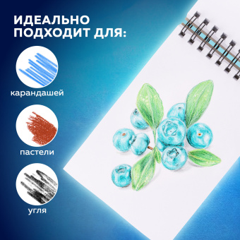 Скетчбук, белая бумага 190 г/м2, 145х212 мм, 60 л., гребень, твердая обложка, BRAUBERG ART CLASSIC, 113851 за 186 ₽. Альбомы, скетчбуки и бумага для графики и эскизов. Доставка по России. Без переплат!