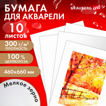 Бумага для акварели 300 г/м2 460x660 мм мелкое зерно, 10 листов, BRAUBERG ART PREMIERE, 113232 за 767 ₽. Альбомы и бумага для акварели и масла. Доставка по России. Без переплат!