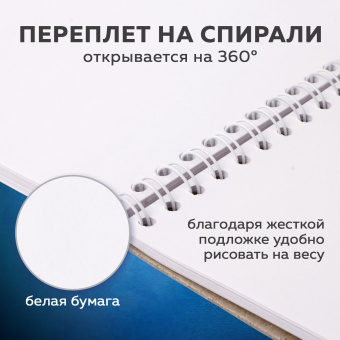 Скетчбук, белая бумага 190 г/м2, 297х210 мм, 60 л., гребень, твердая обложка, BRAUBERG ART CLASSIC, 113853 за 347 ₽. Альбомы, скетчбуки и бумага для графики и эскизов. Доставка по России. Без переплат!