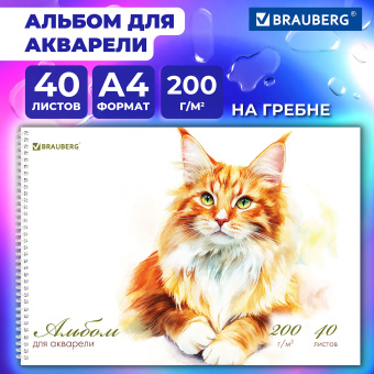Альбом для акварели А4 40 л., бумага 200 г/м2, гребень, твердая подложка, BRAUBERG, "Мейн-кун", 116884 за 286 ₽. Альбомы и папки для рисования. Доставка по России. Без переплат!