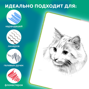 Скетчбук, белая бумага 140 г/м2, 130х210 мм, 80 л., софт-тач, резинка, BRAUBERG ART CLASSIC, "Green mood", 117778 за 329 ₽. Альбомы, скетчбуки и бумага для графики и эскизов. Доставка по России. Без переплат!