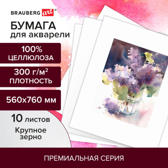 Бумага для акварели 300 г/м2 560x760 мм крупное зерно, 10 листов, BRAUBERG ART PREMIERE, 113239 за 1 118 ₽. Альбомы и бумага для акварели и масла. Доставка по России. Без переплат!