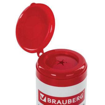 Салфетки для экранов всех типов и пластика BRAUBERG с ароматом АБРИКОС, туба 100 шт., влажные, 513321 за 174 ₽. Чистящие салфетки для техники. Доставка по России. Без переплат!