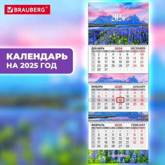 Календарь квартальный на 2025 г., 3 блока, 3 гребня, с бегунком, мелованная бумага, EXTRA, BRAUBERG, "Люпины", 116145 за 116 ₽. Календари настенные. Доставка по России. Без переплат!