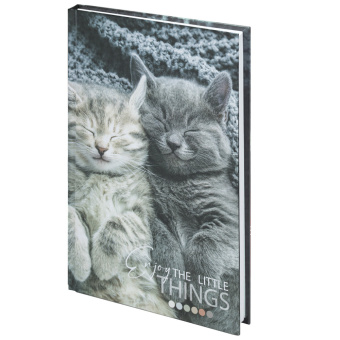 Блокнот А5 (134х206 мм), 80 л., твёрдый, клетка, STAFF, "Котики", 114413 за 83 ₽. Блокноты в книжном переплете. Доставка по России. Без переплат!