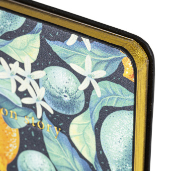 Блокнот МАЛЫЙ ФОРМАТ (100х150 мм) А6, BRAUBERG VISTA "Lemon Story", под кожу, гибкий, срез фольга, 80 л., 112096 за 232 ₽. Бизнес-блокноты и бизнес-тетради. Доставка по России. Без переплат!