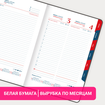 Ежедневник датированный 2026 А5 148х218 мм, GALANT "White", под кожу, белый, 117494 за 203 ₽. Ежедневники с покрытием "под кожу и ткань". Доставка по России. Без переплат!