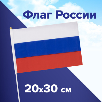 Флаг России ручной 20х30 см, без герба, с флагштоком, BRAUBERG/STAFF, 550181, RU13 за 43 ₽. Флаги и знамена. Доставка по России. Без переплат!