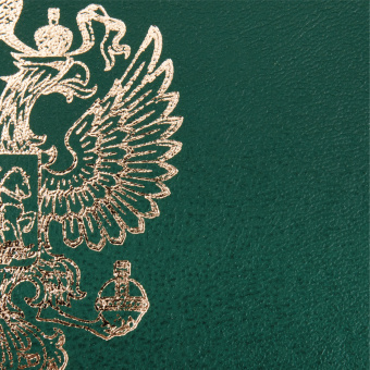 Папка адресная бумвинил с гербом России, формат А4, зеленая, индивидуальная упаковка, STAFF "Basic", 129581 за 126 ₽. Папки адресные. Доставка по России. Без переплат!
