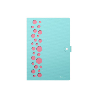 Папка-органайзер на кнопке 4 отделения, ERICH KRAUSE "Diagonal Pastel", 600 мкм, до 150 л., А4, ассорти, 61211 за 372 ₽. Папки пластиковые с отделениями. Доставка по России. Без переплат!