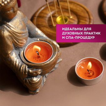 Свечи чайные Standard, до 3,5 часов горения, вес 9 г, КОМПЛЕКТ 50 шт., в гильзе, LAIMA, 609197 за 261 ₽. Свечи чайные. Доставка по России. Без переплат!