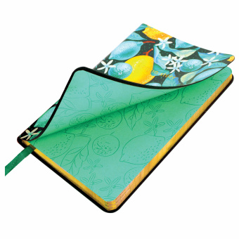 Блокнот МАЛЫЙ ФОРМАТ (100х150 мм) А6, BRAUBERG VISTA "Lemon Story", под кожу, гибкий, срез фольга, 80 л., 112096 за 232 ₽. Бизнес-блокноты и бизнес-тетради. Доставка по России. Без переплат!