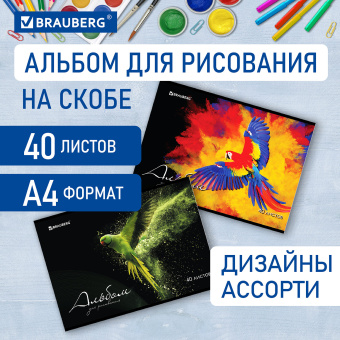 Альбом для рисования А4, 40 л., скоба, обложка картон, BRAUBERG, 205х290 мм, "Полёт" (2 вида), 106707 за 75 ₽. Альбомы и папки для рисования. Доставка по России. Без переплат!