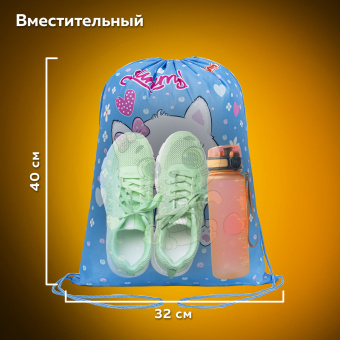 Мешок для обуви ПИФАГОР, 1 отделение, 40х32 см, "Yummy cupcake", 271603 за 171 ₽. Мешки для обуви. Доставка по России. Без переплат!