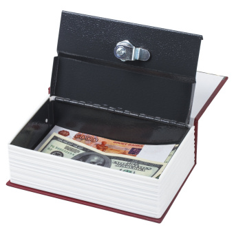 Сейф-книга "Остров сокровищ", 55х115х180 мм, ключевой замок, BRAUBERG, 291050 за 1&nbsp;031 ₽. Сейф-книги. Доставка по России. Без переплат!