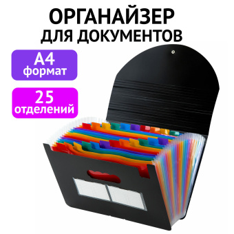 Папка-органайзер для бумаг и документов на резинке, 25 отделений, BRAUBERG DOCS, А4, черная, 271151 за 809 ₽. Папки пластиковые с отделениями. Доставка по России. Без переплат!